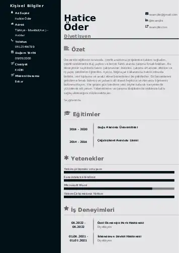 Beslenme Uzmanı Diyetisyen CV Örnekleri cv indir